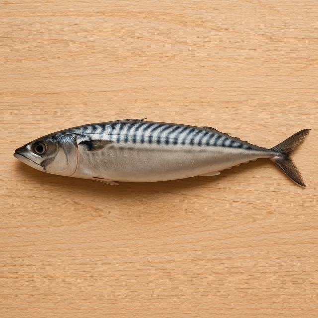 Mackerel