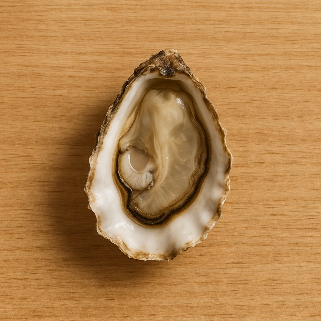Oyster