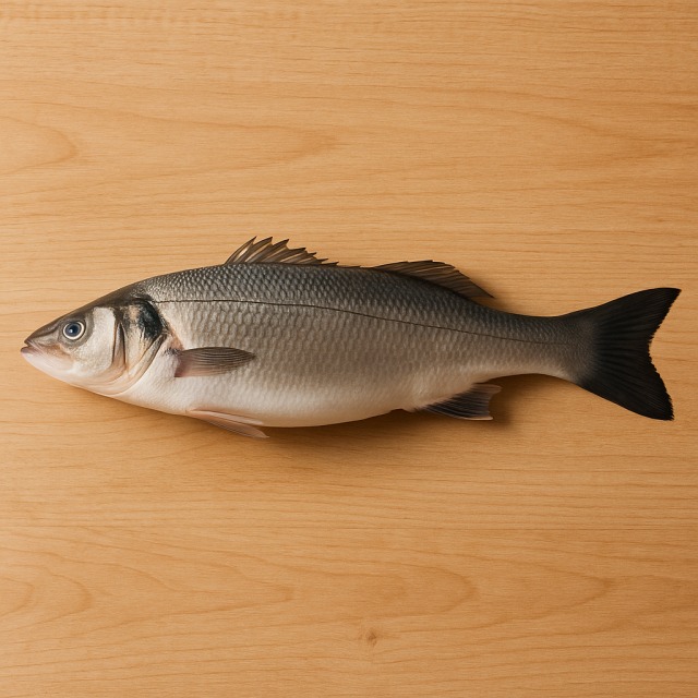 Sea bass